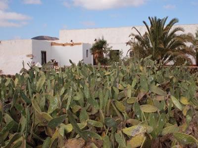 Gbh Casas Las Portadas La Oliva Exteriér fotografie